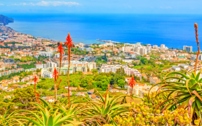 Funchal: uma escapadinha no coração da Madeira!